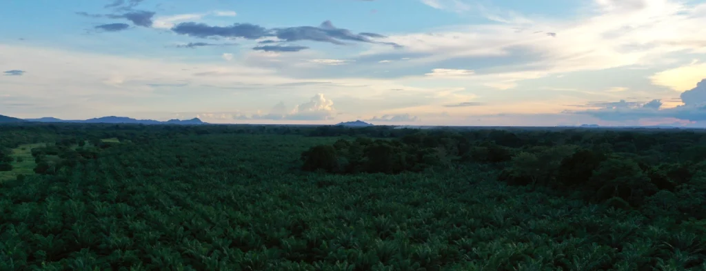 Atentos a las predicciones fenómeno El Niño para el mes de septiembre