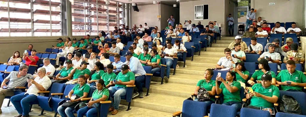 Palmicultores de Córdoba se actualizan en el manejo fitosanitario de la pudrición del cogollo y las pudriciones de estípite