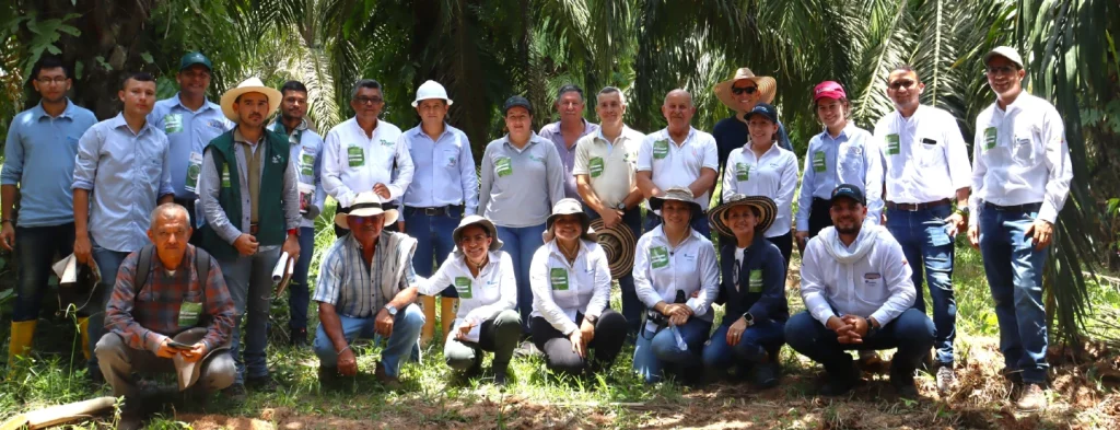 Palmicultores del Meta comprometidos con la implementación de prácticas con enfoque en Agricultura Climáticamente Inteligente