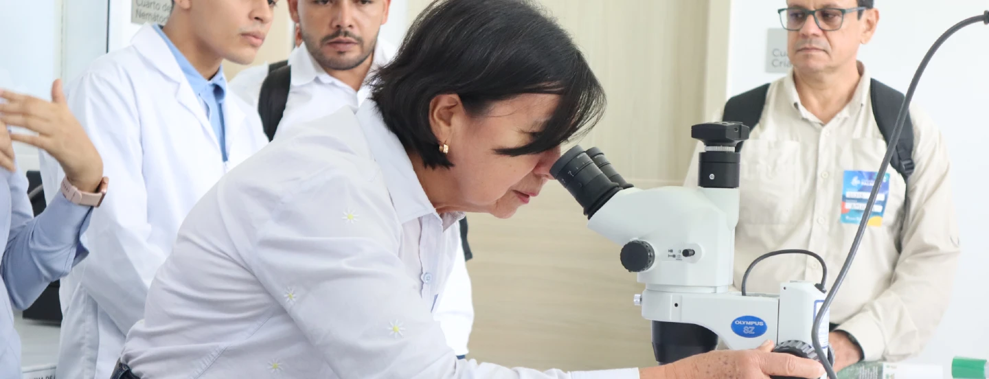 Segunda parte, principales resultados de la gestión del Fondo de Fomento Palmero en 2023