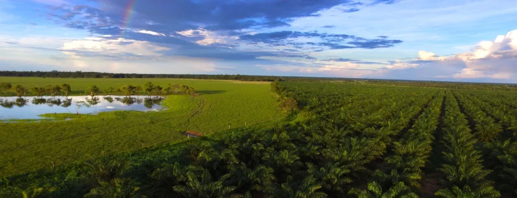 Atentos a las predicciones fenómeno El Niño para el mes de octubre