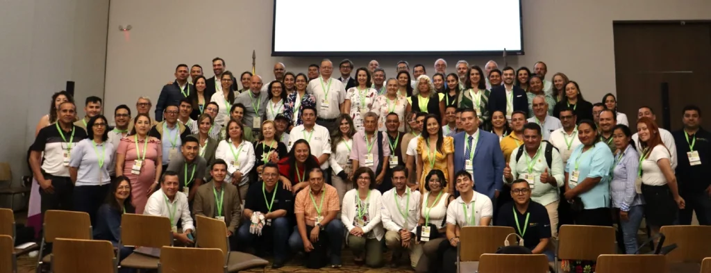 El sector palmero le apuesta a nuevos mercados con una producción más limpia