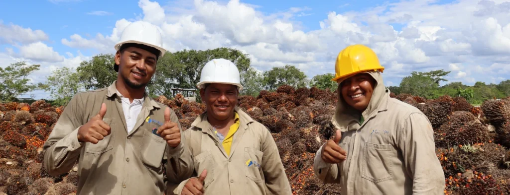El sector palmero en Colombia realiza la segunda Encuesta de Empleo Directo
