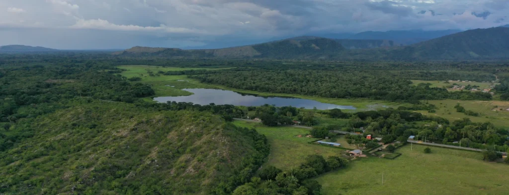 Lanzamiento del geovisor como vigía de la cero deforestación en los cultivos de palma en Colombia