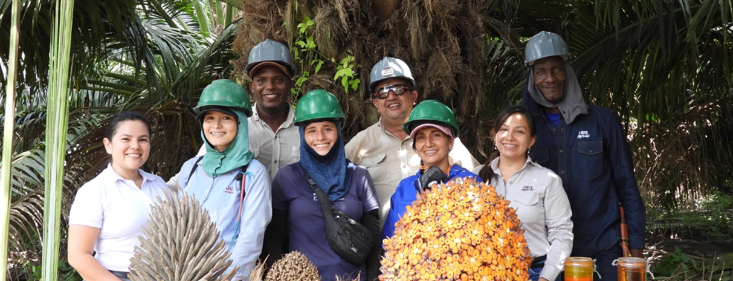 Fedepalma lanza el Club Palmero