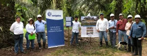 Productores de palma de la región del Ariari se interesan en aprender sobre la adopción de Mejores Prácticas de Agricultura Climáticamente Inteligente (ACI) dentro del proyecto Territorios Verdes