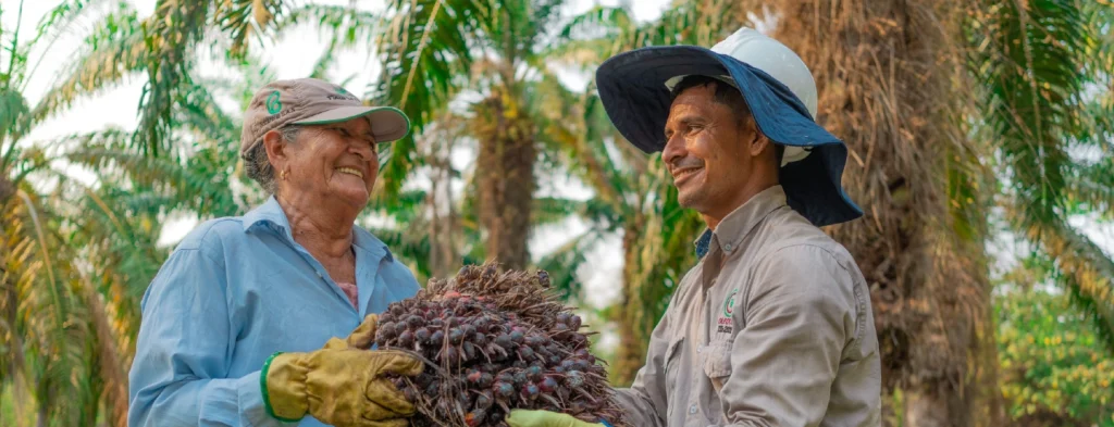 Fedepalma anuncia el inicio de convocatorias para concursos de Fotografía Ambiental - Social, Mujer Palmera y Sostenibilidad