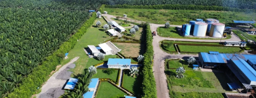 Alianza del Humea S. A. S., obtiene certificación ISCC CORSIA