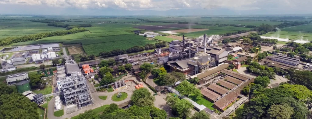 El Grupo Manuelita ocupó el primer lugar en la categoría agroindustrial del ranking Merco Responsabilidad ESG Colombia 2024