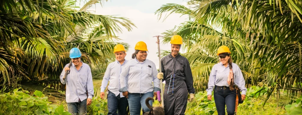 Fedepalma consolida su política de género impulsando la equidad en el sector palmero colombiano