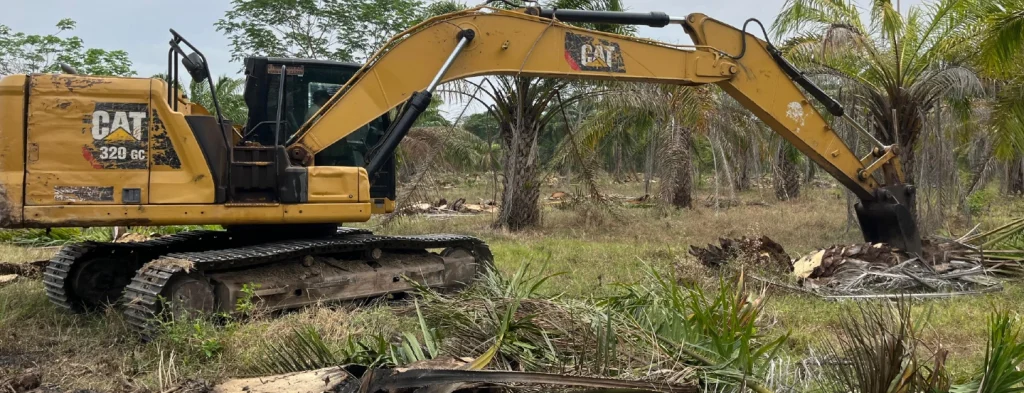 Avanzan actividades para dar cumplimiento a la firma del memorando de entendimiento entre Fedepalma, Cenipalma y la Gobernación del Cesar
