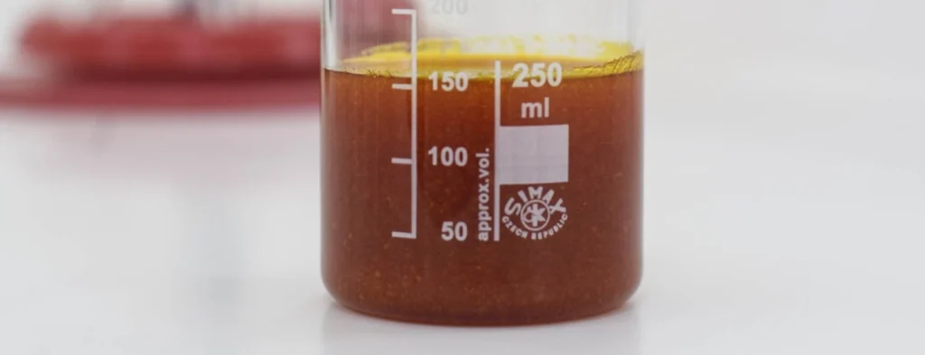 Parámetros claves en la calidad del aceite de palma: del campo a la planta