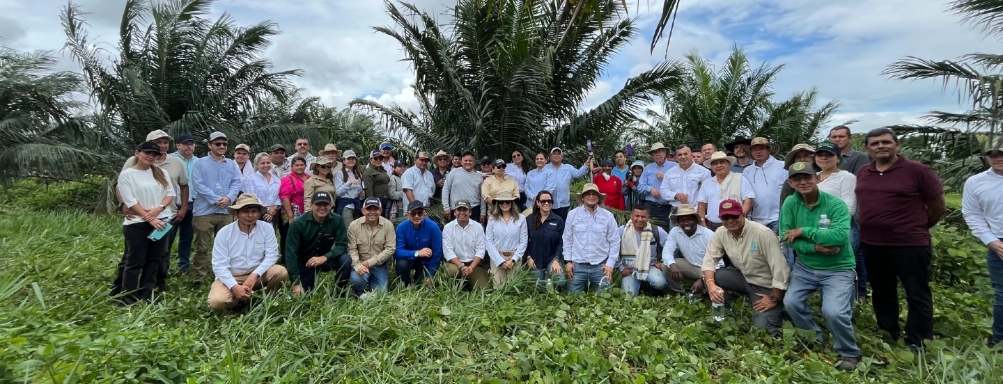 Registro, afiliación y sostenibilidad, temas clave en la reunión de aliados de Entrepalmas