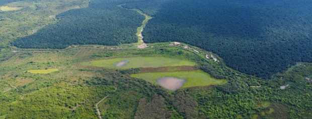 Agroindustrial de Palma Aceitera S. A., es destacada como modelos de preservación natural
