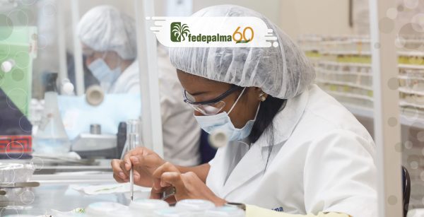 Fortalecimiento del músculo financiero sectorial