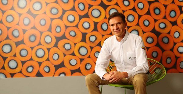 Nicolás Pérez Marulanda, Presidente Ejecutivo de Fedepalma