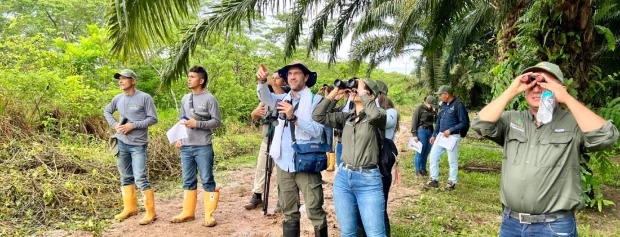 Avistamiento histórico de aves en paisaje palmero de Colombia durante el Global Big Day 2025