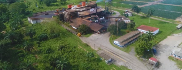 Palmas Oleaginosas Bucarelia S. A. S., celebra 64 años de compromiso y sostenibilidad en el Magdalena Medio