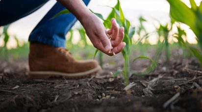 Fedepalma y APSColombia participan en la Conferencia Interamericana RSPO 2023 Foto: Fedepalma.