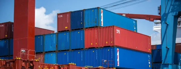 Las importaciones de aceite de palma de la India en febrero se desploman a su nivel más bajo en 9 meses